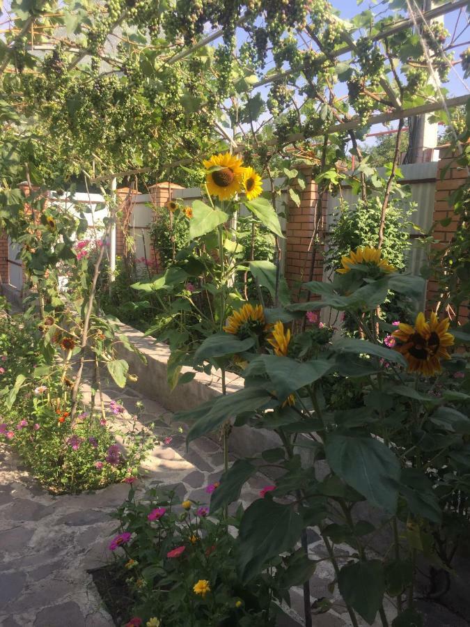 شقة Oasis Aspindza المظهر الخارجي الصورة