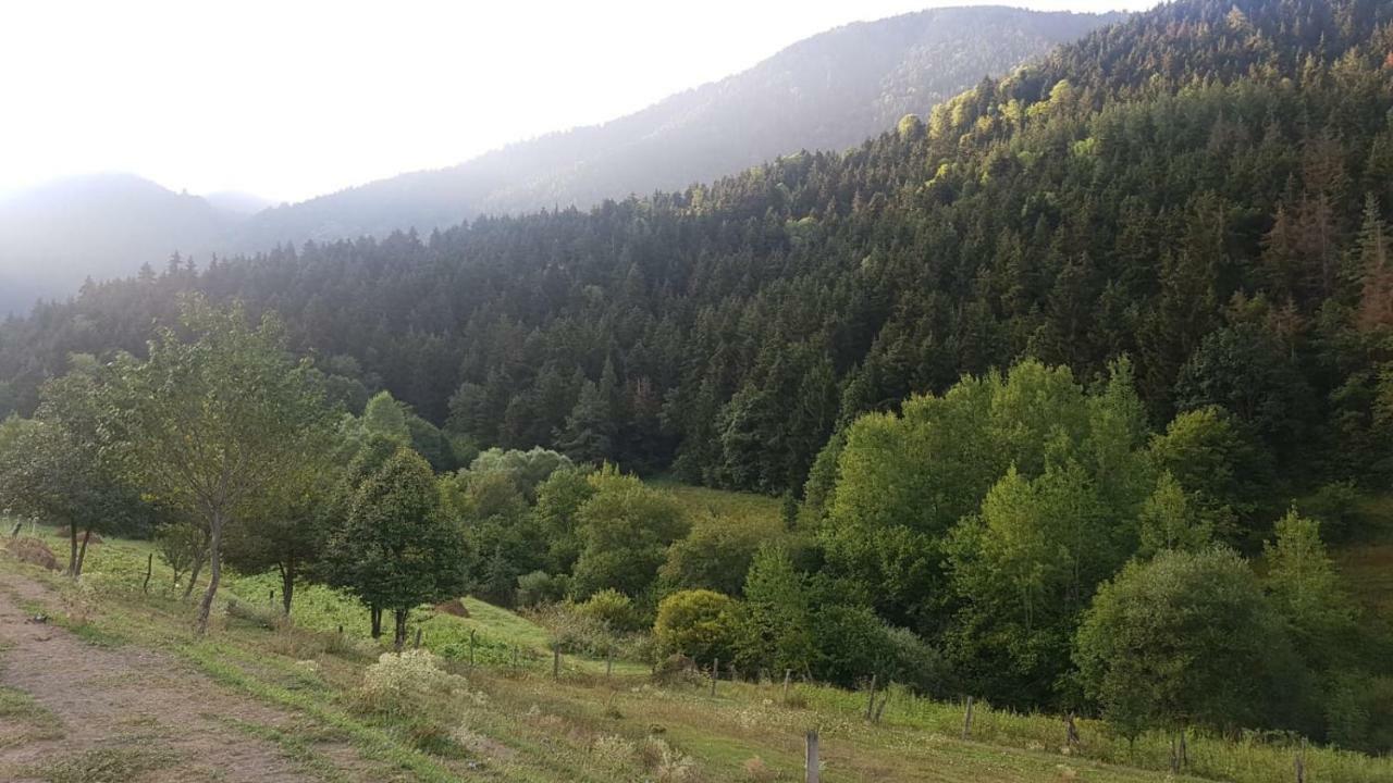 شقة Oasis Aspindza المظهر الخارجي الصورة